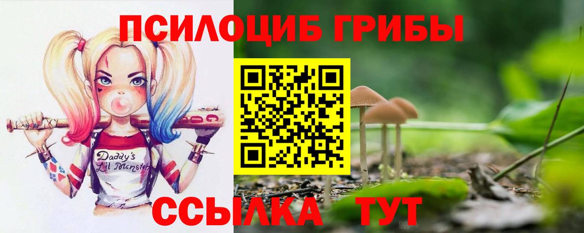 Галлюциногенные грибы Psilocybine cubensis Феодосия